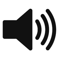 PA SPEAKERS